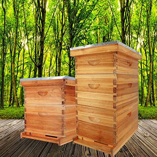 ThxBees Complete 10-Frame Bee Hive Kit, Beeswax-Coated