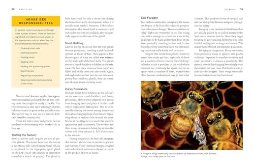 Storey's Guide to Honey Beekeeping: 2nd Edition, Essential Info