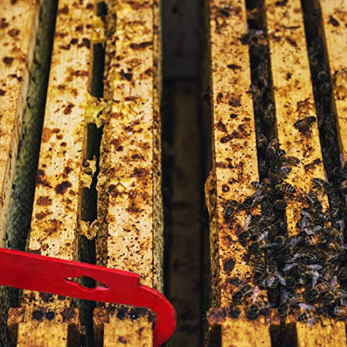 Stainless Steel J-Hook Hive Tool for Beekeeping Equipment