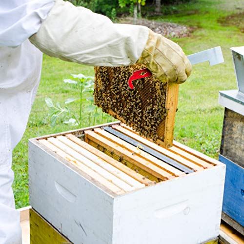 Stainless Steel J-Hook Hive Tool for Beekeeping Equipment