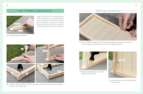 Storey's Guide to Honey Beekeeping: 2nd Edition, Essential Info