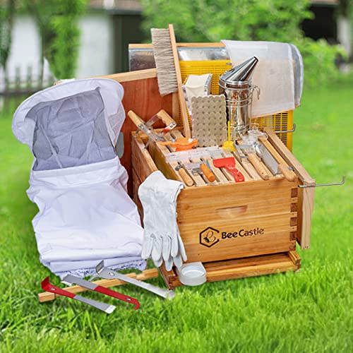 Beginner Beehive Kit with 8-Frame Hives and Supplies