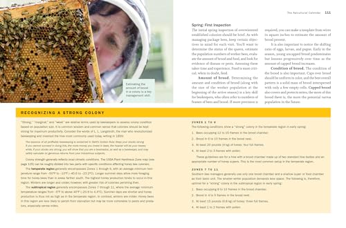Storey's Guide to Honey Beekeeping: 2nd Edition, Essential Info