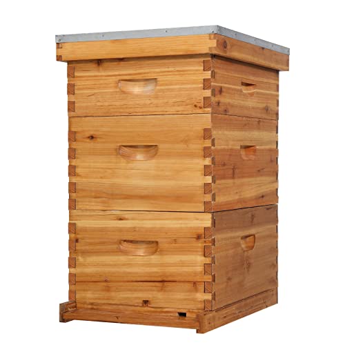 VINGLI 10-Frame Bee Hive Starter Kit with Beeswax