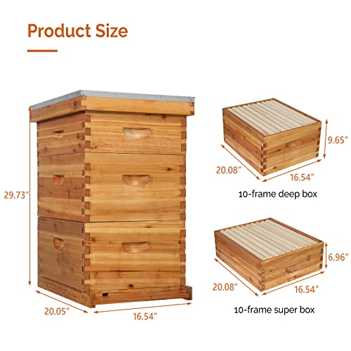 VINGLI 10-Frame Bee Hive Starter Kit with Beeswax