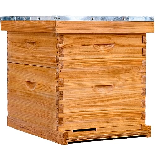POLLIBEE 10 Frame Beehive Starter Kit with Beeswax