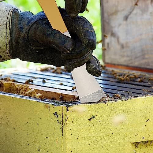 MT Healthy Stainless Steel Hive Scraper Tools -Beekeeping