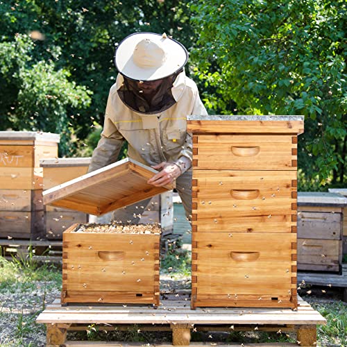 VINGLI 10-Frame Bee Hive Starter Kit with Beeswax