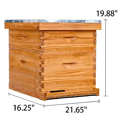 POLLIBEE 10 Frame Beehive Starter Kit with Beeswax
