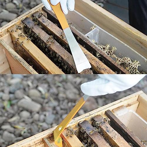 MT Healthy Stainless Steel Hive Scraper Tools -Beekeeping