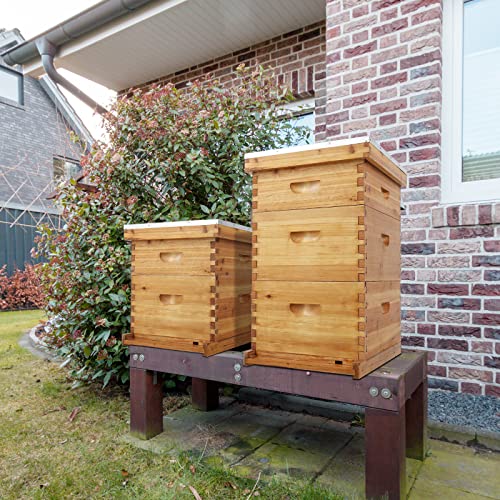VINGLI 10-Frame Bee Hive Starter Kit with Beeswax