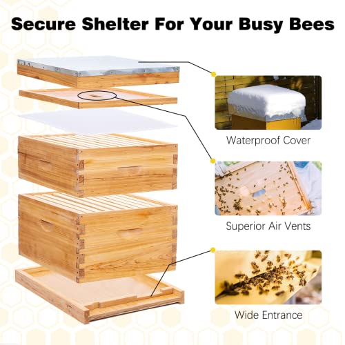 POLLIBEE 10 Frame Beehive Starter Kit with Beeswax