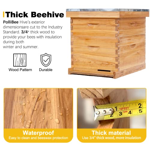 POLLIBEE 10 Frame Beehive Starter Kit with Beeswax