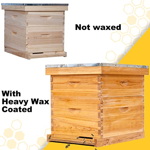 POLLIBEE 10 Frame Beehive Starter Kit with Beeswax