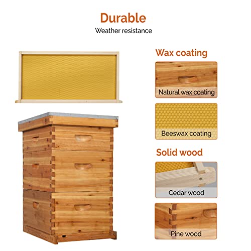 VINGLI 10-Frame Bee Hive Starter Kit with Beeswax