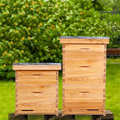 POLLIBEE 10 Frame Beehive Starter Kit with Beeswax