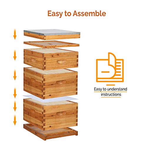 VINGLI 10-Frame Bee Hive Starter Kit with Beeswax
