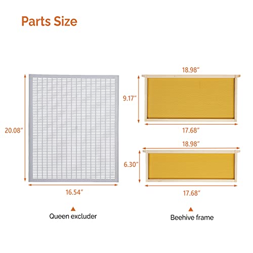 VINGLI 10-Frame Bee Hive Starter Kit with Beeswax