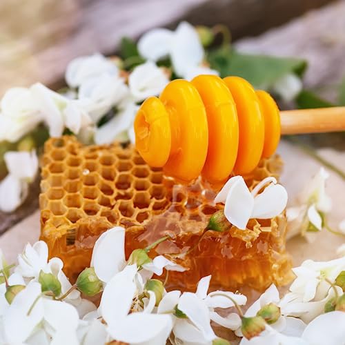 Sanniti Hungarian Acacia Honeycomb - 14.1 oz x 2