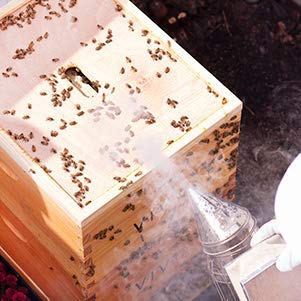 Stainless Steel Bee Hive Smoker with Heat Shield