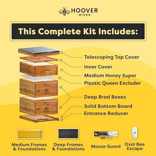 Hoover Hives Beeswax Coated Beehive Kit: Easy Assembly