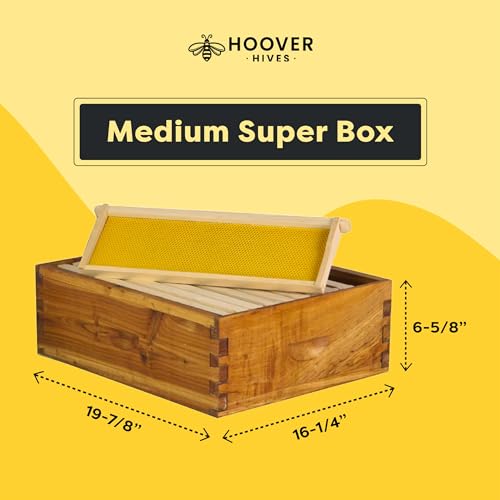 Hoover Hives Beeswax Coated Beehive Kit: Easy Assembly