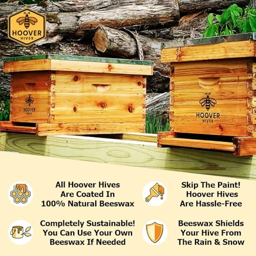 Hoover Hives Beeswax Coated Beehive Kit: Easy Assembly