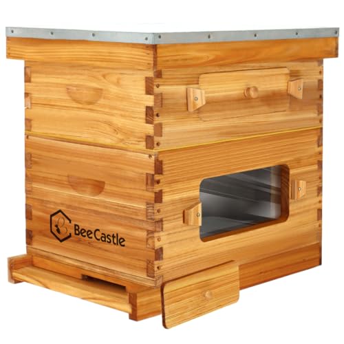 10-Frame Langstroth Beehive Starter Kit for Beginner Beekeepers