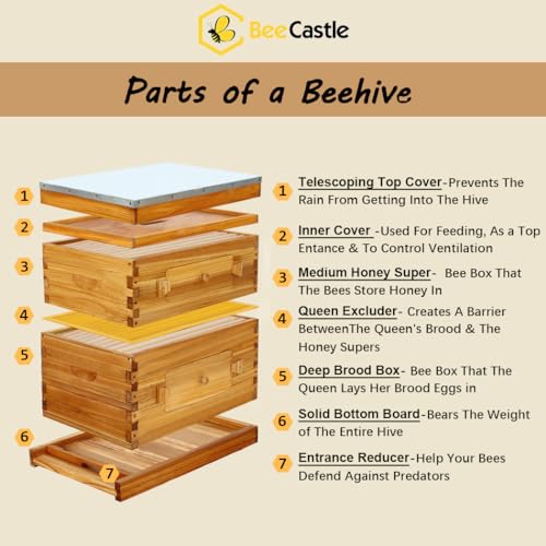 10-Frame Langstroth Beehive Starter Kit for Beginner Beekeepers