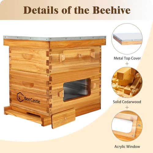 10-Frame Langstroth Beehive Starter Kit for Beginner Beekeepers
