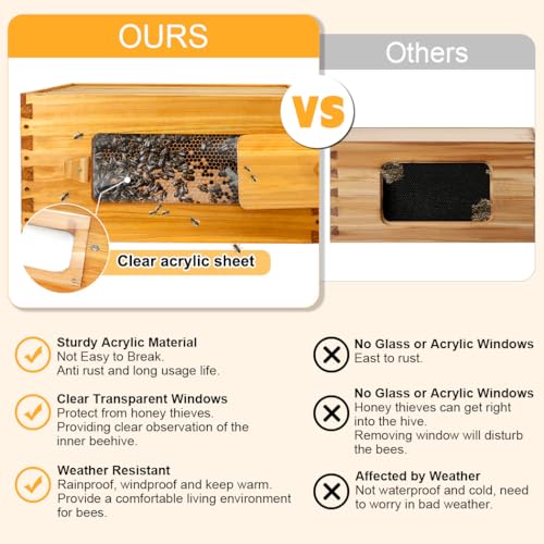 10-Frame Langstroth Beehive Starter Kit for Beginner Beekeepers