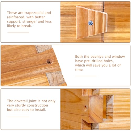 10-Frame Langstroth Beehive Starter Kit for Beginner Beekeepers