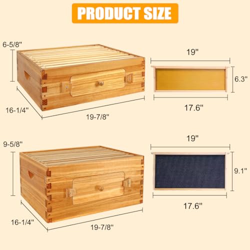 10-Frame Langstroth Beehive Starter Kit for Beginner Beekeepers