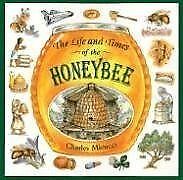 Guide to the Fascinating Honeybee Life