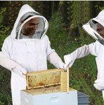 Bee Suit with Gloves and Veil Hood - XXL