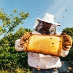 Cotton Beekeeping Jacket with Veil and Hat