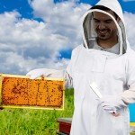 Men's and Women's Beekeeper Bee Suit with Gloves