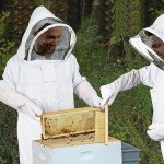 Men's and Women's Beekeeper Bee Suit with Gloves