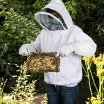 Professional Bee Suit with Veil for Beekeepers