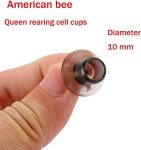 Queen Cell Cup Holder Frame Set with 50 Cups