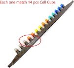 Queen Cell Cup Holder Frame Set with 50 Cups