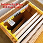 Queen Cell Cup Holder Frame Set with 50 Cups