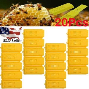 20-Piece Queen Bee Catcher Trap Set