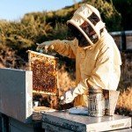 Heavy-Duty Ventilated Beekeeping Suit with Gloves