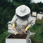 2XL Beekeeping Protective Suit for Hive Safety