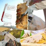 Beekeeping Protective Jacket Suit and Long Gloves Set