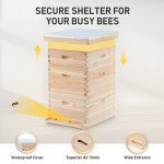 Complete Beehive Box Kit with 30 Frames