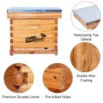 Beehive Starter Kit with 8-Frame Wax Coated Boxes