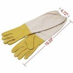 Beekeeping Tools Kit: 11 Essential Supplies