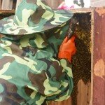 Bee Protective Jacket with Veil and Smock Hood